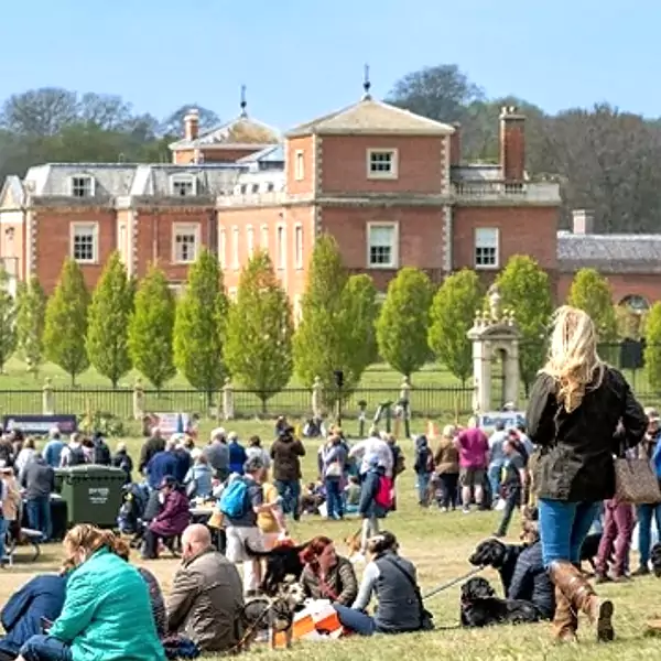 east anglia game fair 2025